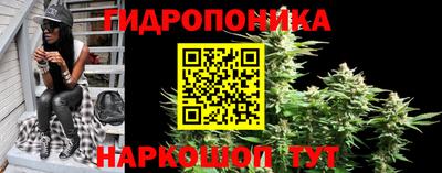 мяу мяу мука Бугуруслан