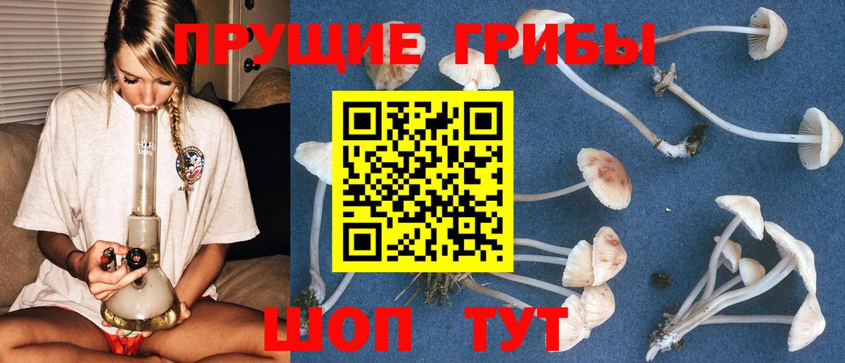 Севастополь  Галлюциногенные грибы ЛСД  Вход с VPN 