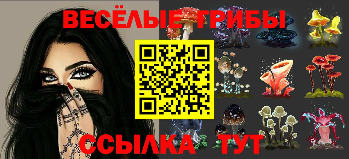 Галлюциногенные грибы Psilocybine cubensis Севастополь